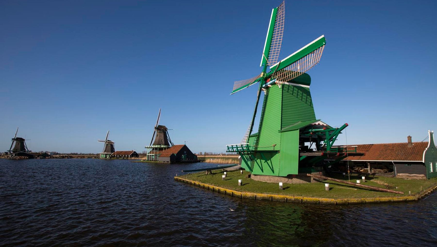 Zaanse Verhalen