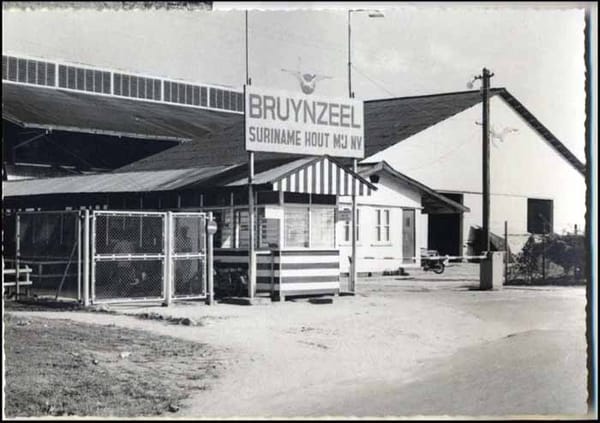 Huis­jes van Bruynzeel in Suriname