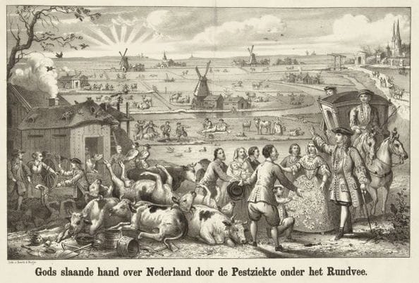 De Blauwe Kan