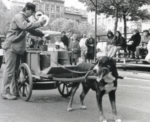 Het kan verkeren – De Hondenkar